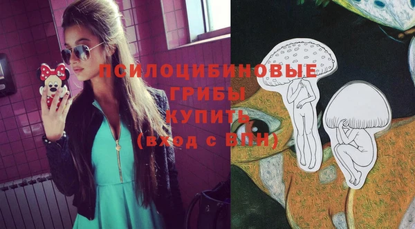 марки lsd Белокуриха