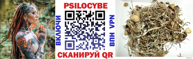 Галлюциногенные грибы MAGIC MUSHROOMS  ссылка на мегу как зайти  Кузнецк  купить  
